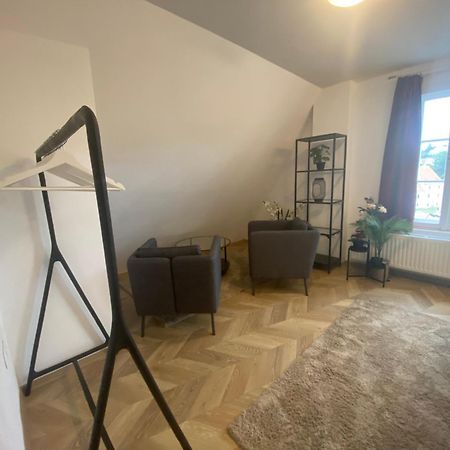 Apartman V Centru Krumlova チェスキー クルムロフ エクステリア 写真